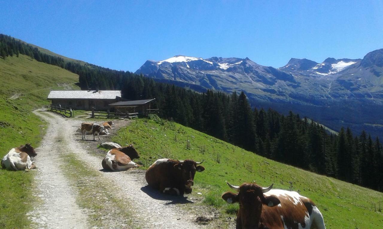 Fruehstuecks- Pension Sonnblickhof ラウリス エクステリア 写真