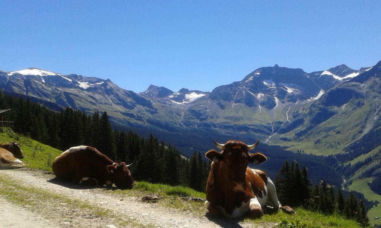 Fruehstuecks- Pension Sonnblickhof ラウリス エクステリア 写真
