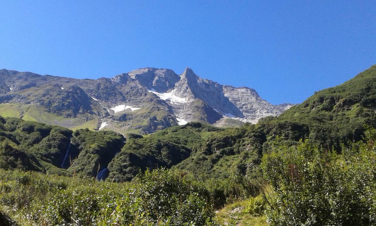 Fruehstuecks- Pension Sonnblickhof ラウリス エクステリア 写真